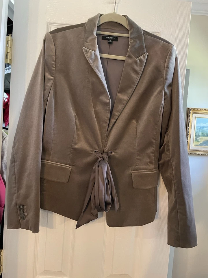 Blazer Ann Taylor Champagne Gris Terciopelo Lazo Satinado Cierre Oficina, Vacaciones Talla 12 Foto 1 de 4