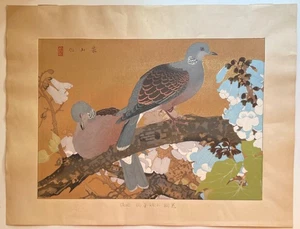 Rakuzan Tsuchiya, Paulownia Flowers & Turtledoves, Rakusan Woodblock Print Japan - Picture 1 of 10