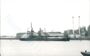 Maltese MV Suerte en Silvertown 2003 foto de barco - Imagen 1 de 2