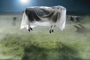Ghost Cow , Floating, Stand Out , Pop Up , Happy Halloween, Greeting Card - Picture 1 of 3