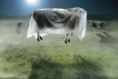 Ghost Cow , Floating Cow In A Sheet, Funny, Happy Halloween, Greeting Card - Image 1 of 2