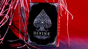 Carte da gioco Divine della United States Playing Card Company - fuori stampa - Foto 1 di 6