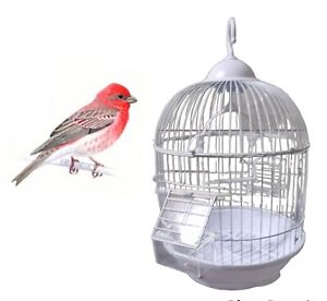 BIRDS CAGES CORFE BUDGIE FINCH BIRD CAGE WITH HOOK BUDGIES CANARY HOME PET UK