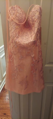 Stacees Dress for Wedding and Special Occasions Size 2 Blush Pink - Image 1 of 4