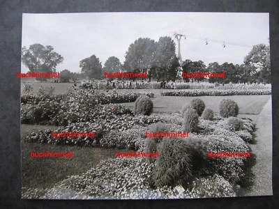 Großes Foto Pressefoto BUGA Bundesgartenschau Köln 1957 Deutz Rheinpark Seilbahn - Bild 1 von 2
