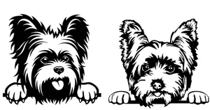 Yorkie Yorkshire Terrier Two PK 5" Black Vinyl Decal Car Laptop Tablet Tumbler - Picture 1 of 2