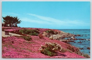 Postkarte Pazifikküste Monterey Halbinsel Kalifornien - Bild 1 von 2