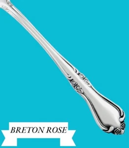 Unknown Mfg BRETON ROSE Stainless Silverware Glossy Heavy Flatware Teaspoon - Picture 1 of 7