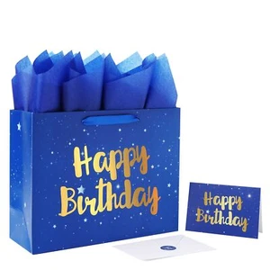 13" Large Blue Gift Bag Set with Greeting Card and Tissue Papers Stars and Go - Picture 1 of 6