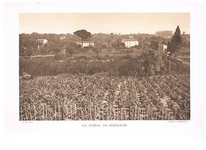 LA HORTA DE PERPIGNAN photo 1934 - Picture 1 of 1