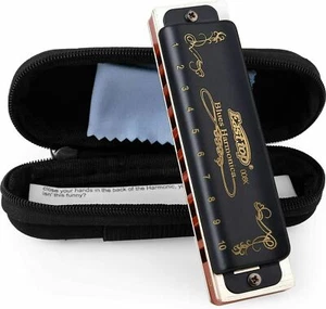 Harmonica Diatonic Key of C/A/G 10Hole Top Grade Professional Blues Harmonica - Picture 1 of 21