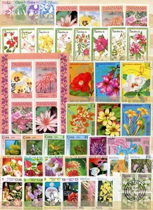 Lot Blumen ( 40832 ) - Picture 1 of 1