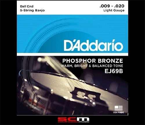 Daddario EJ69B 5-String Ball-End Banjo Phosphor Bronze Light 9-20 Strings - Image 1 of 1
