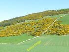 Photo 6X4 Forret Hill Kedlock A Whin Covered Steep Slope Above Arable Lan C2013