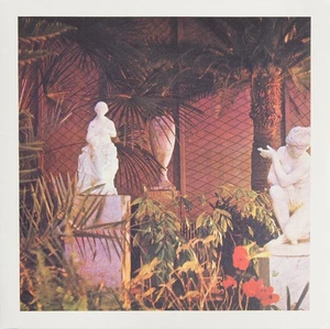 Marja Ahti Vegetal Negatives (LP) - Picture 1 of 2