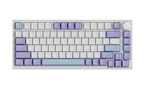 AJAZZ x Nacodex AK820 wired keyboard no USB-C - Picture 1 of 16