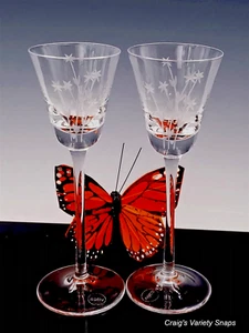 Cristalleria ColleVilca La Distilleria Spirit Glass Liquor, Hand Blown & Cut - Picture 1 of 15