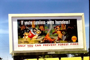 1958 35mm Slide~KODACHROME SHELL GAS STATION "PREVENT FOREST FIRES" BILLBOARD - Picture 1 of 3