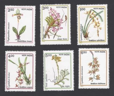 India 1991 Orchids Flora Flowers stamp set 6v MNH - Image 1 of 2