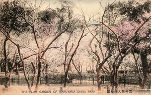JAPAN POSTCARD: THE PLUM GARDEN OF MARUYAMA SHIBA PARK, TOKYO - Picture 1 of 2