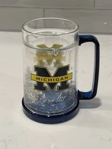 University of Michigan Duck House Beer Stein - Picture 1 of 3