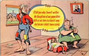 Vintage Comic Humor Postcard ~ Hillbilly Didn't Write Sick Cat & No Stamp  - Picture 1 of 3