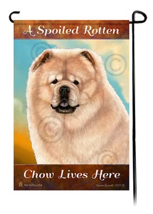 A Spoiled Rotten Cream Chow Lives Here - Bild 1 von 1