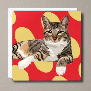 Tabby Cat Birthday Card Cats Lover Greeting Cards Leslie Gerry Blank Greetings - Imagen 1 de 3