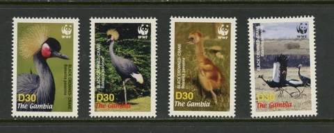 E973  Gambia  2006   birds  cranes  WWF   4v.       MNH Cover