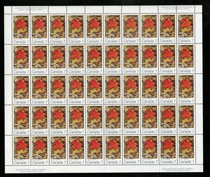 Canada Stamps — Full Pane of 50 — 1971, Autumn Maple Leaf #537 — MNH - Picture 1 of 1