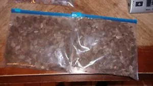 CHIPS DE ROBLE BLANCO AMERICANO 1/2 lb. BOLSA DE TOSTADAS MEDIANAS Vino, Whisky, CERVEZA GRATUITA FASTSHIP - Imagen 1 de 4