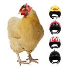 Rain Protection Hats Chicken Helmet Bird Protect Cap Pet Protective Headgear