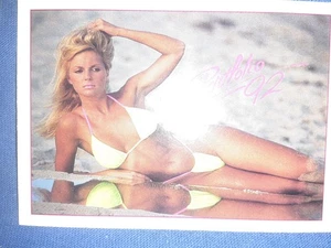 Uncut Sheet Offer 1992 Portfolio 92 Swimsuit Card #7  card - Picture 1 of 1