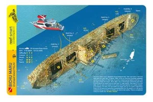 Bichu Maru Palau Wreck Reef Smart Waterproof Dive Card - Imagen 1 de 2