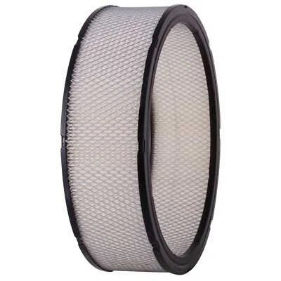 Filtro de aire Premium Guard PA3181 Foto 1 de 4