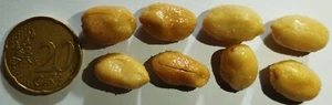 Whole Roasted Salted Peanuts — 5 Gram 0.17 oz - Picture 1 of 3