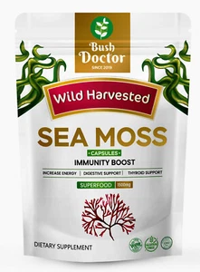 Sea Moss Capsules 15000mg , 100% Clean & Natural Vegan Capsules Genuine Sea Moss - Picture 1 of 7