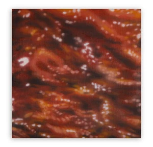 Dany VESCOVI, "Lab2 MgCn2", 2001, Olio su tela, cm 50x50x4 Bello e Pubblicato! - Foto 1 di 1