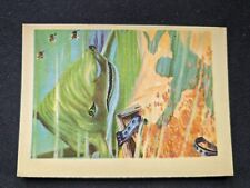 1956 Gum Inc. Adventure Card # 1 At the End of the Rainbow - Gold (EX)