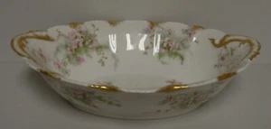 Theodore Haviland APPLE BLOSSOM (SCHLEIGER 146) 10" Oval Vegetable Bowl - Picture 1 of 2