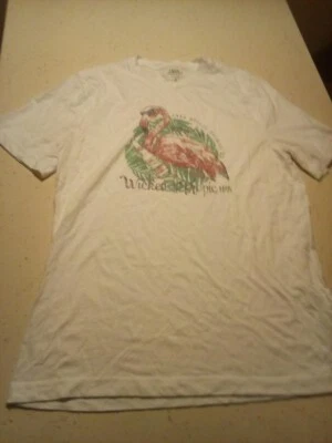 Camiseta izod água salgada M Flamingo  - Imagem 1 de 4