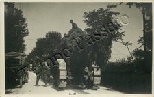 Prima guerra mondiale - Traino di cannoni