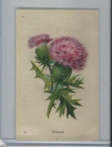 SC7 Imperial Tobacco, flores de jardín, 1910, cardo #45 - Imagen 1 de 1