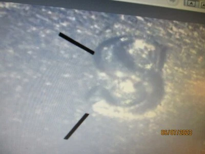 1948-S LINCOLN CENT RPM 5 S OVER S GEM BU  N4 - Image 1 of 3