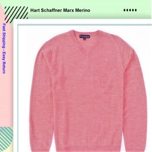 $89.50 Hart Schaffner MarxMerino Wool V-Neck Sweater SIZE L - Picture 1 of 1