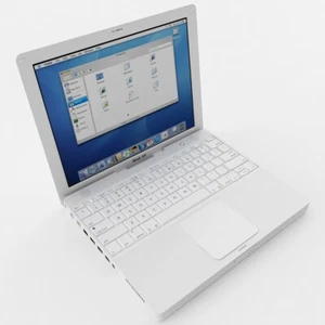 iBook G4 APPLE modello 2005 colore bianco, display 14", (usato ma funzionante) - Foto 1 di 6