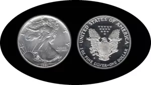 1991 Liberty $1 Ounce Ag Silver - Picture 1 of 1