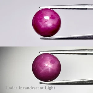 π 8.81ct 10.8mm Round Cabochon Natural Pinkish Red 6 Ray Star Ruby - Heated Gem - Picture 1 of 6