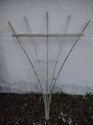 Enrejado de pino tratado a presión. De pie 6 pies de alto. Foto 1 de 4