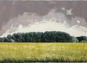 Contemporary Mixed Media Countryside Landscape - Picture 1 of 6